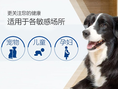 北京滅跳蚤公司，殺跳蚤公司哪家好