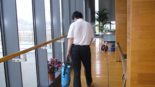家庭其它蟲害服務(wù)
