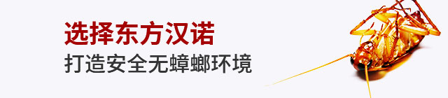 專(zhuān)業(yè)滅蟑螂
