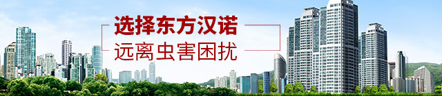 選擇東方漢漢諾，遠(yuǎn)離蟲害困擾